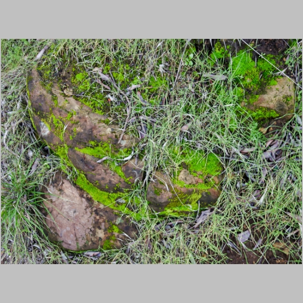 20190120-143.JPG