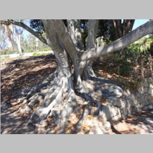 20141102-101.JPG