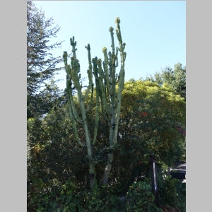 20141102-133.JPG