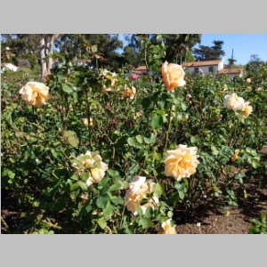 20141102-162.JPG