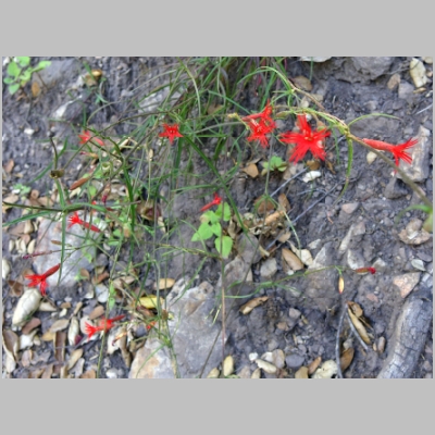 20160619-009.JPG