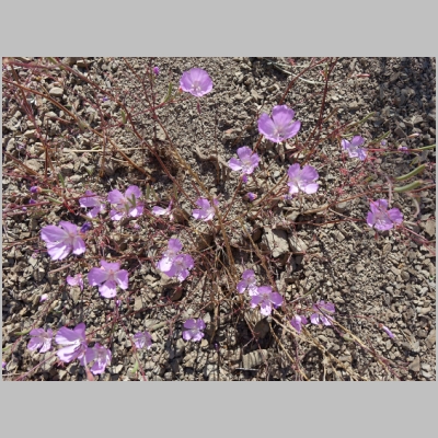 20160619-044.JPG