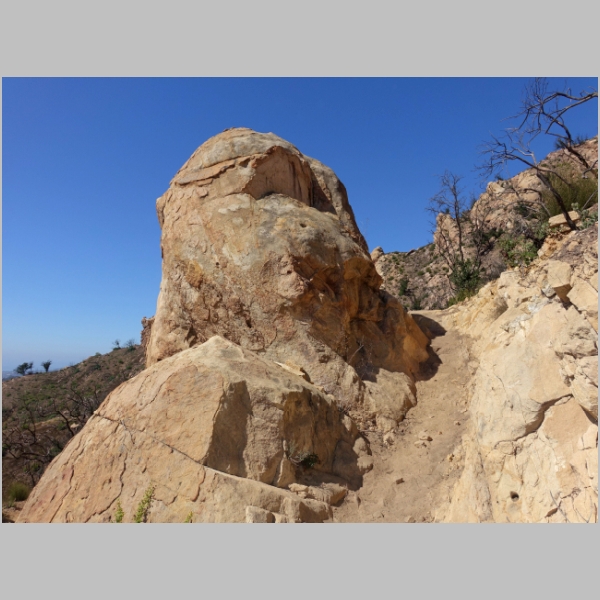 Upper McMenemy Trail