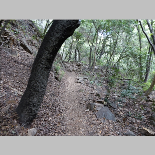 20150503-026.JPG