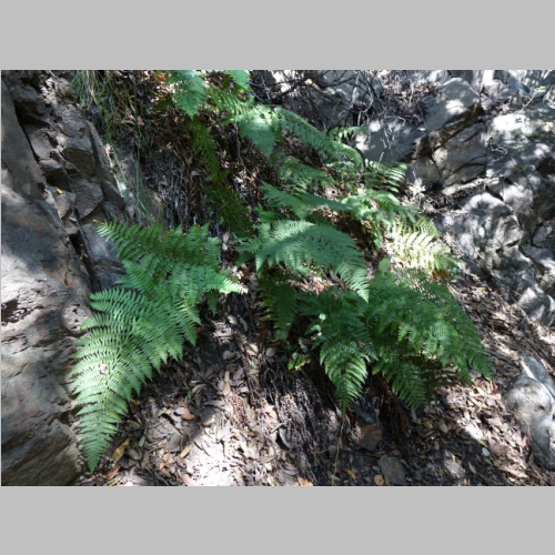 20150503-044.JPG