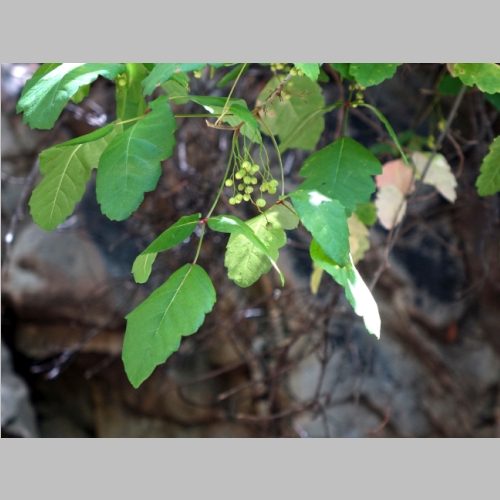 20150503-047.JPG