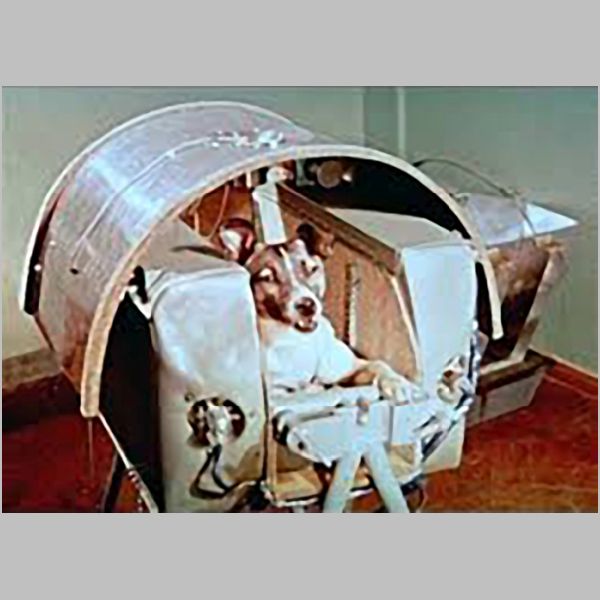 NASA-LaikaSpaceDog.jpg