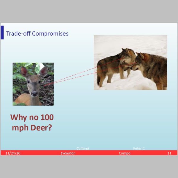 slide-11.png