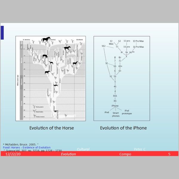 slide-05.jpg