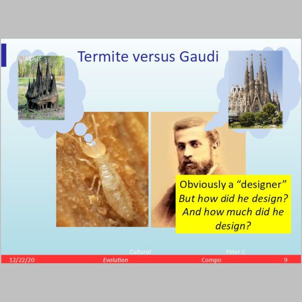 slide-09.jpg