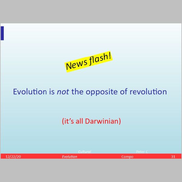 slide-31.jpg