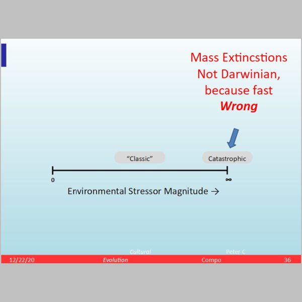 slide-36.jpg