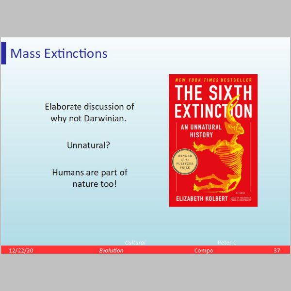 slide-37.jpg