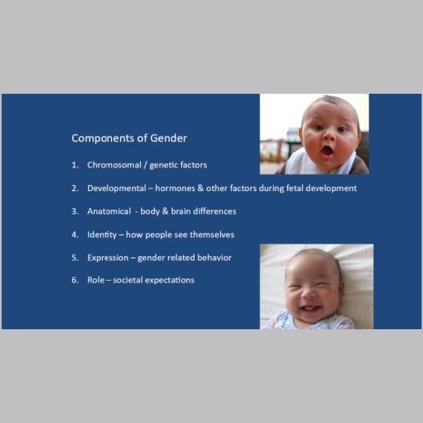 slide-03.jpg