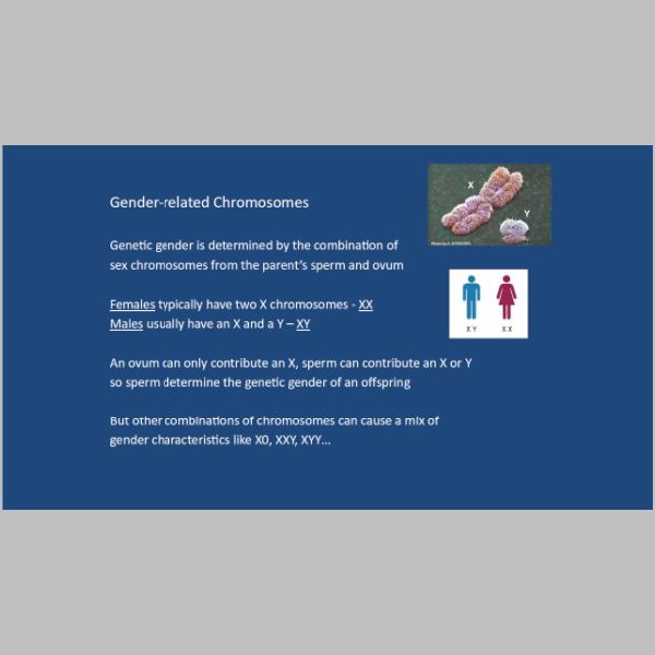 slide-07.jpg