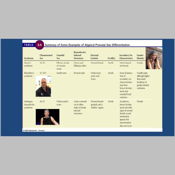 slide-08.jpg
