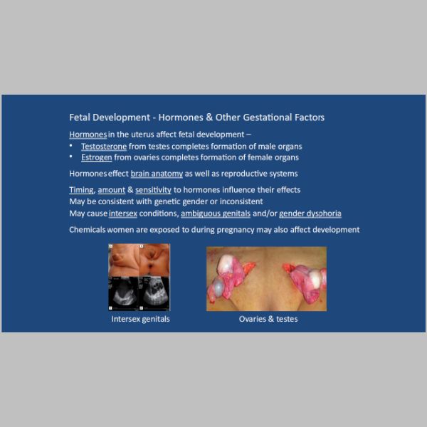 slide-09.jpg