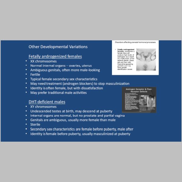 slide-10.jpg