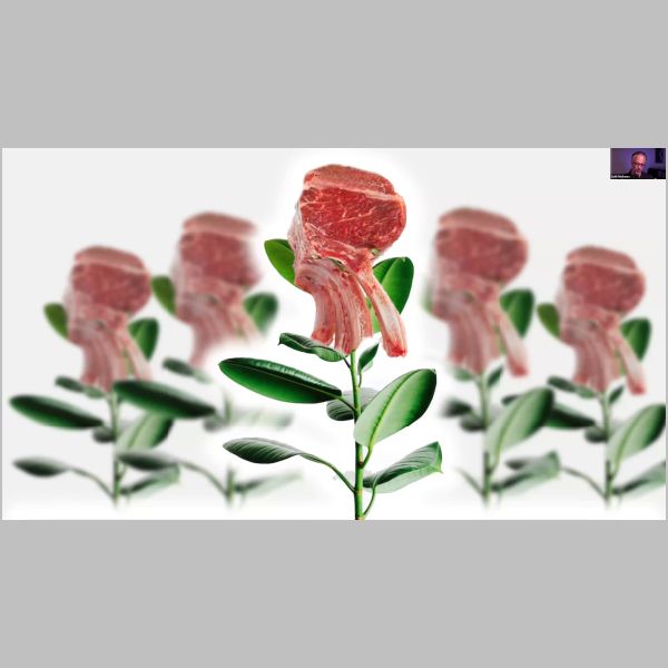0-49-16.png