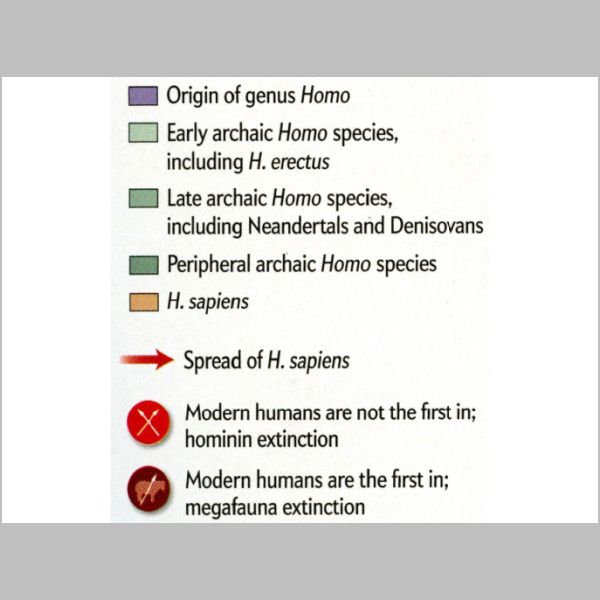 slides_142.jpg