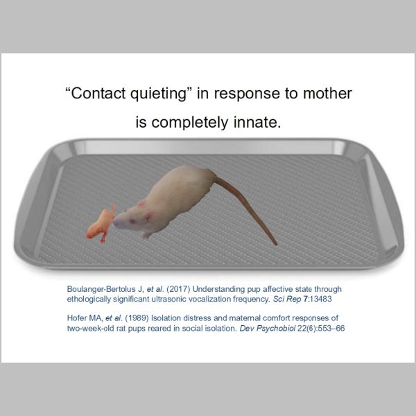 slide-067.jpg