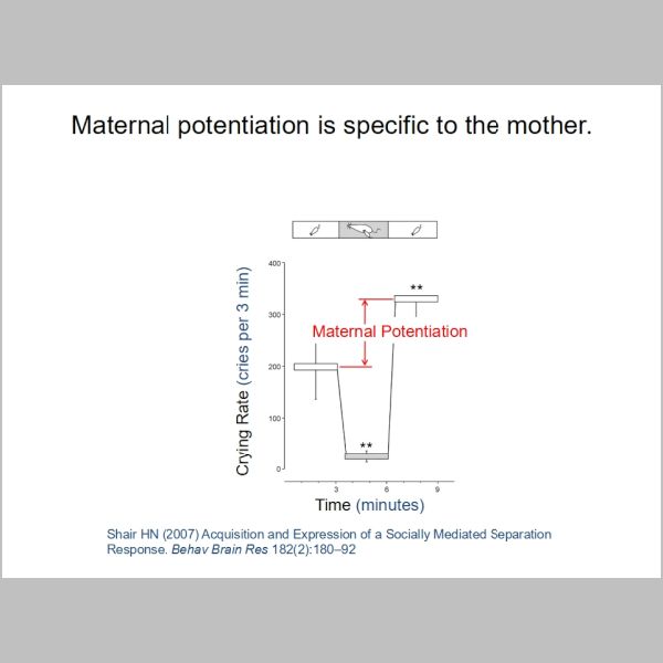 slide-081.jpg
