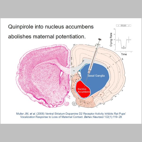 slide-093.jpg