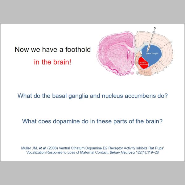 slide-097.jpg