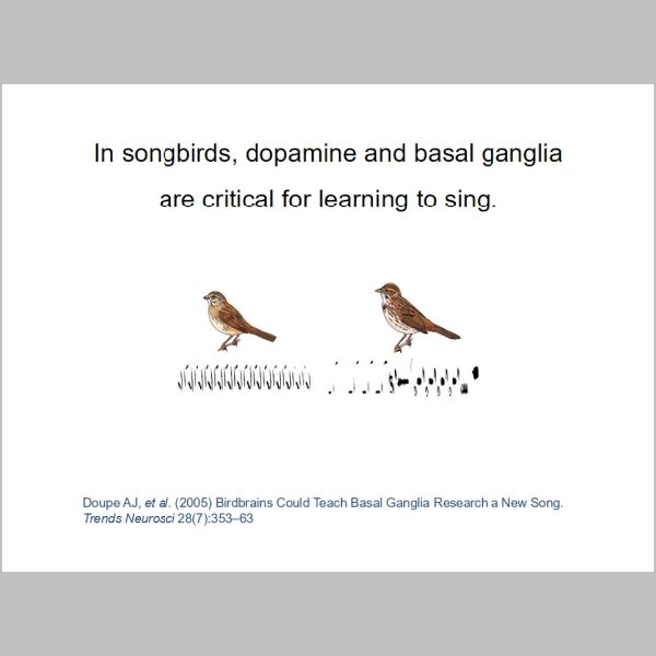 slide-105.jpg