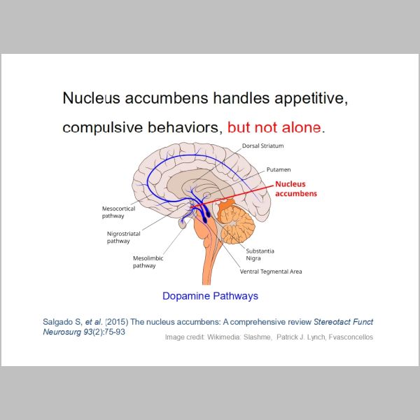 slide-108.jpg