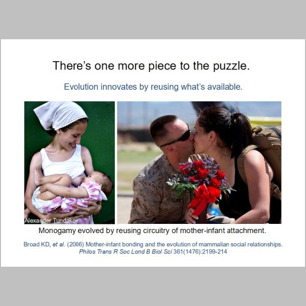 slide-160.jpg