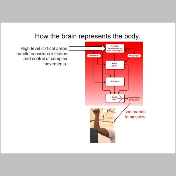 slide-203.jpg