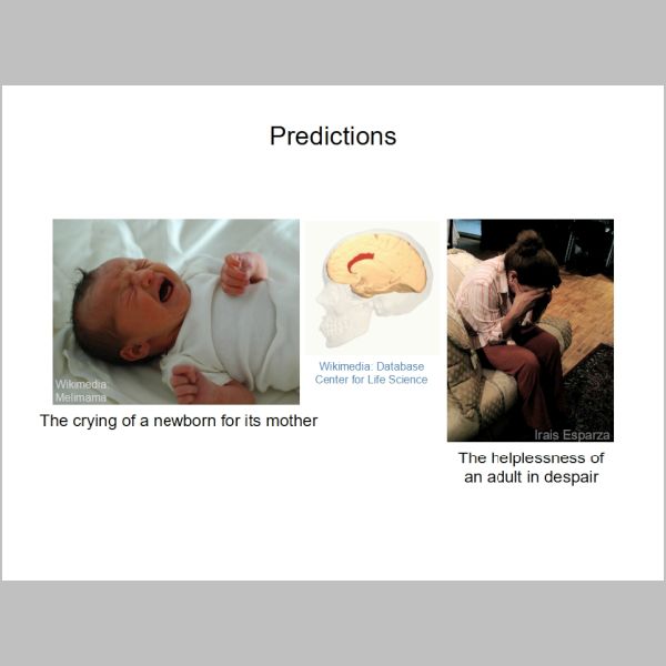 slide-270.jpg