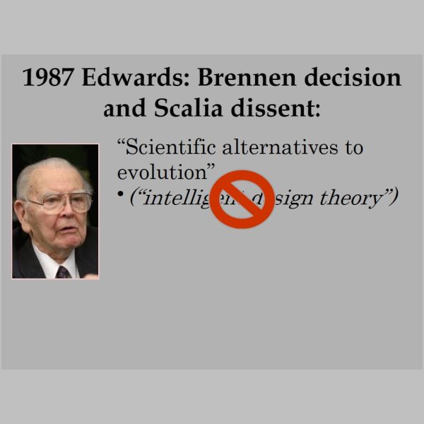 slides-29.jpg