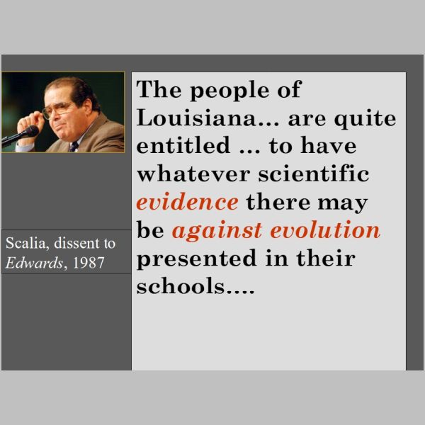 slides-30.jpg