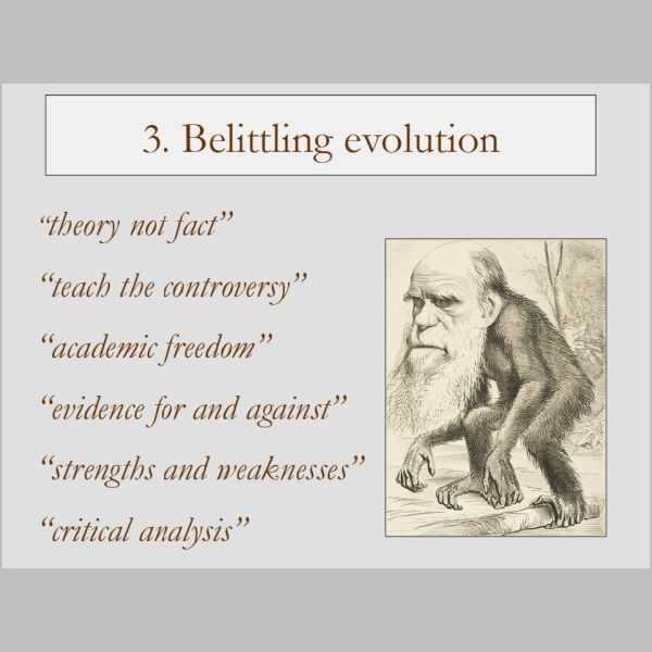 slides-34.jpg