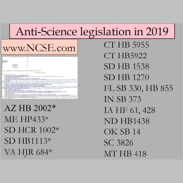 slides-61.jpg