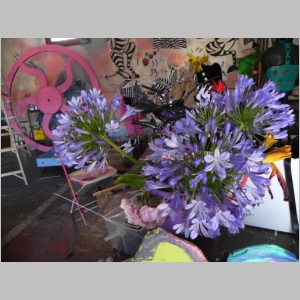 2011-0620-036.JPG