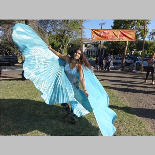20150620-520.JPG