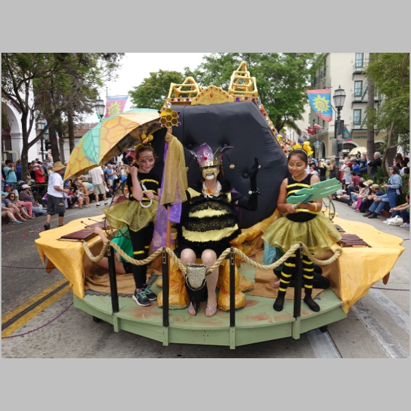 Ninja Bees - Caroline Hambright