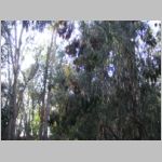 PC110058.JPG