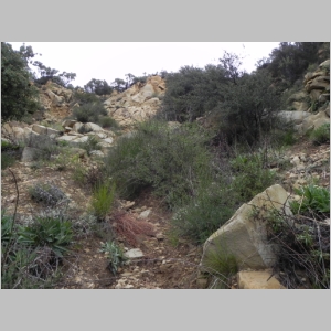 2011-0221-067.JPG