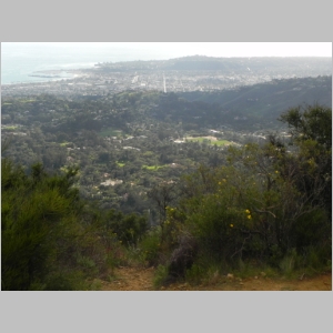 2011-0221-145.JPG