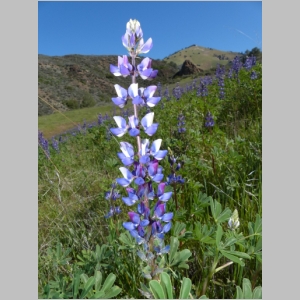 20130329-100.JPG