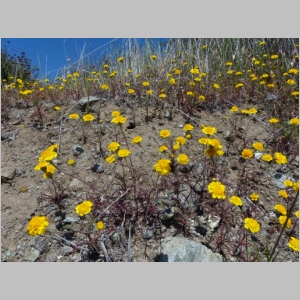 20130329-275.JPG