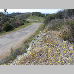 20130329-281.JPG