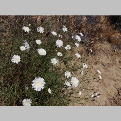 20160512-066.JPG