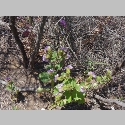 20160512-075.JPG