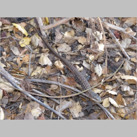 20140220-010.JPG