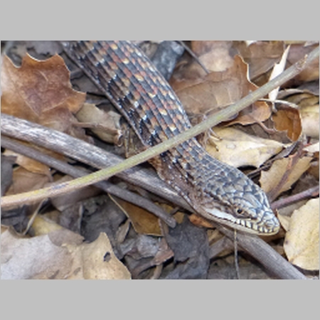 20140220-011.JPG